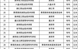 2024年贵州单招城市轨道交通机电技术专业有哪些学校