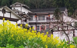 难吗？贵州省湄潭县乡村建设调查(民居建设乡村居民点风格)