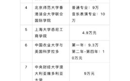 上海应用技术大学中外合作办学学费多少钱一年