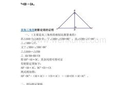 射影定理是哪年级学的