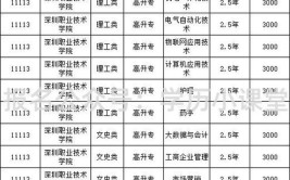 深圳职业技术大学中外合作办学学费多少钱一年