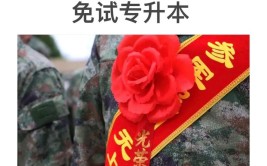 当兵免试专升本可以随意选择学校吗