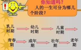 大学生处于人生的哪个时期?