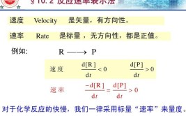 速率是矢量还是标量