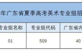 中山火炬职业技术学院艺术类专业有哪些？