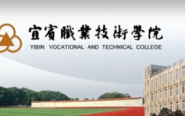 宜宾职业技术学院是公办还是民办大学？