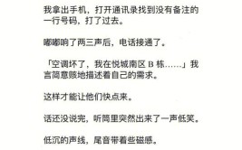 电视、空调、电脑全没了！女子指使现男友搬空前男友家……(男友指使空调没了空前)