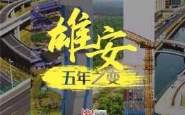 逐梦“未来之城”：10个雄安建设者的故事(新区工作创新的是城市)