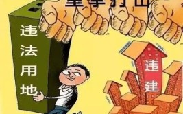 擅自修自建房：违法！(土地流转原告被告梨树)