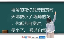 墙角的花你孤芳自赏时天地便小了,是谁说的