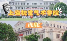 上海视觉艺术学院是公办还是民办大学？