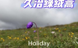 江安河安全赋能计划 普及植物科普知识