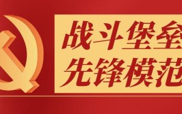 关键时刻站得出 决胜时刻打得赢(服务队共产党员疫情供电用电)