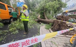 车辆停放在变压器下被烧保险赔不赔？(索赔车辆变压器电力局责任)