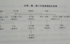 李渊和杨坚是什么关系