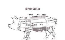 生肉资源是指什么