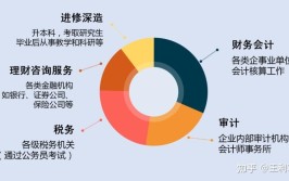 2024会计信息管理就业方向及前景