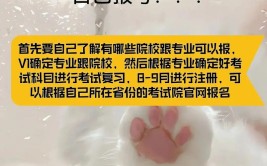 本科学历报考成人高考能免试吗