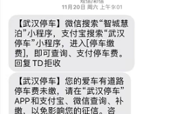 提醒：中心市区欠缴道路停车费的车主 赶快补缴啦！(车主补缴停车缴费提醒)