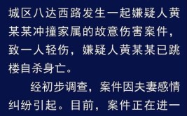 家属盼网友尊重逝者删除网上视频(男子车辆视频一名家属)