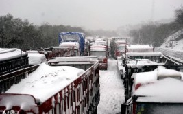 江西多地鹅毛大雪！这些高速路口封闭(鹅毛大雪封闭路口收费站结冰)