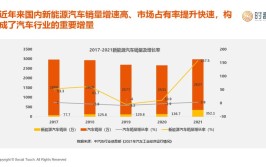 新能源车转卖订单,市场洞察与趋势分析