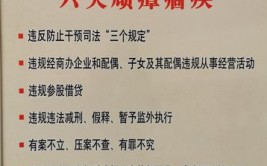 政法队伍教育整顿试点：“开良方、下猛药”整治顽瘴痼疾(干警案件违规试点整顿)