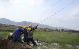 太和供电：攻坚频停线路 提升客户“电力获得感”(太和供电供电所线路抢修)