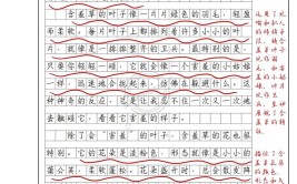 小学生关于植物作文的技巧方法与范例掌握技巧方法提高成绩