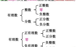 负整数和负分数统称负有理数对吗