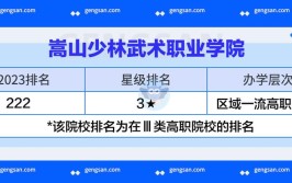 嵩山少林武术职业学院招生专业及最好的专业有哪些