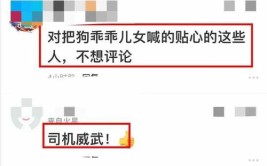 狗狗坐不上去后殴打他：快换车啦！(狗狗换车主人殴打门前)