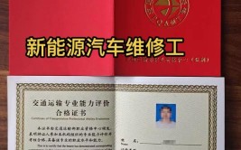 新能源汽车维修师成行业新宠 至少要两本专业证书(新能源汽车维修维修行业领域)