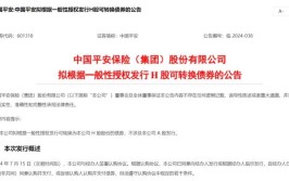 中国汽车密封条制造商瑞博俐(RLEA.US)拟转板纳斯达克上市 募资1200万美元(金融界该公司纳斯达克瑞博橡胶)