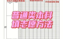 新高考112个志愿如何排序