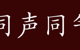 同声若鼓瑟,合韵似鸣琴什么意思