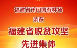 喜报  福建省3个国有林场获2023年全国十佳林场称号