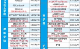 黄冈职业技术学院艺术类学费多少钱一年