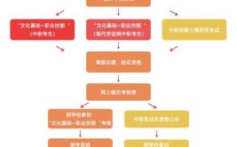 中职报名自考有哪些课程