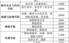 多种艺术类专业可报考2024年南京艺术学院国际本科招生简章