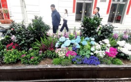 鹰潭市月湖区鲜花绿植扮出环保年