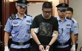 以有偿代寻丢失宠物多次诈骗他人 河北一被告人犯诈骗罪获刑4年(被害人转账退款李某诈骗)