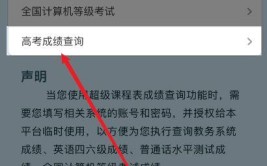 手机能查高考分数吗