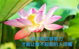 《网事如歌·点赞正能量》第七十一辑(来源如歌能量网事第七十一)