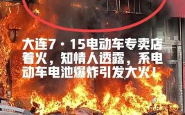 大连一电动车店内车全着了！电池爆炸把店烧毁一空 老板胳膊被烧伤(电动车老板烧毁烧伤电池)