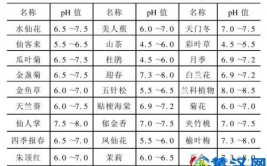 碱性土壤养花难3个方法帮你解决改善酸碱度开花更旺