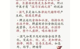 是认真的吗？81°C火焰山成祛湿养生圣地？真相是……(湿气出汗身体圣地体内)