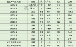 武汉公办二本最低分数线