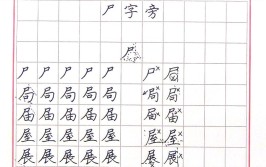 尸字旁的字有哪些