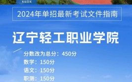 2024辽宁轻工职业学院单招学费多少钱一年